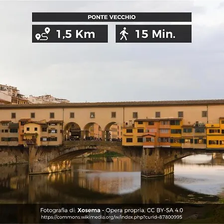 Apartman Ridolfi's House